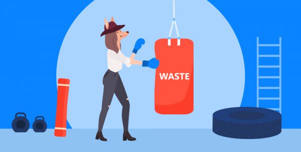 how to eliminate waste in lean development
