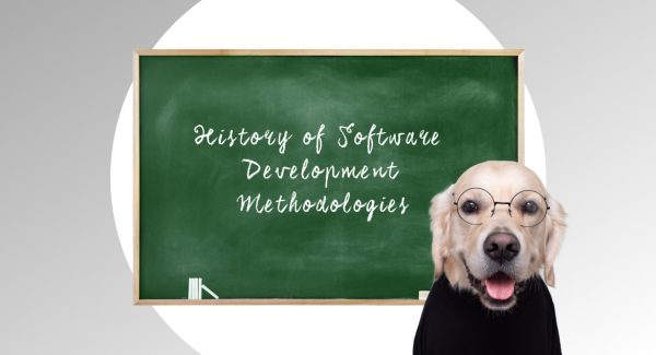 history of software engineering