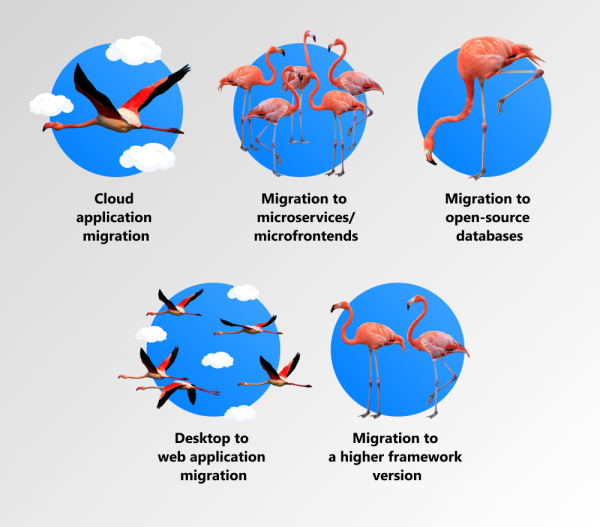 types of migrations