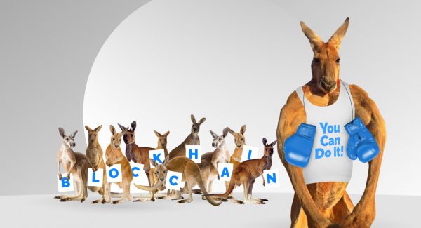 Muscular kangaroo standing in "You can do it!" T-shirt with blue boxing gloves around his neck promises the reader that they can afford the cost to hire a blockchain developer. Behind them are kangaroos with signs saying "blockchain"
