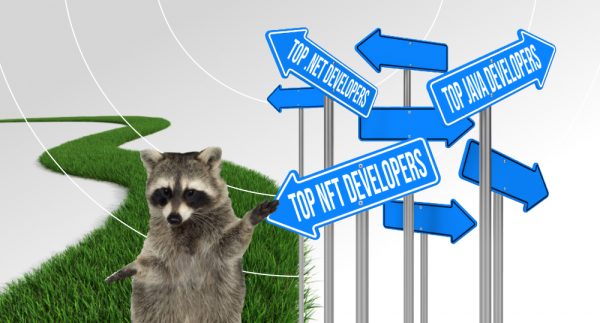 Raccoon standing at intersection near signs and going to follow arrow pointing way to best NFT developers
