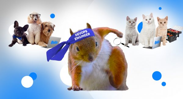 Group of cats and dogs in glasses with laptops stand behind squirrel that wear blue headband and explain how to hire dedicated devops developer