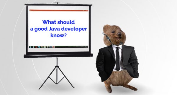 Business quokka holds presentation on skill set of good Java developers. best.