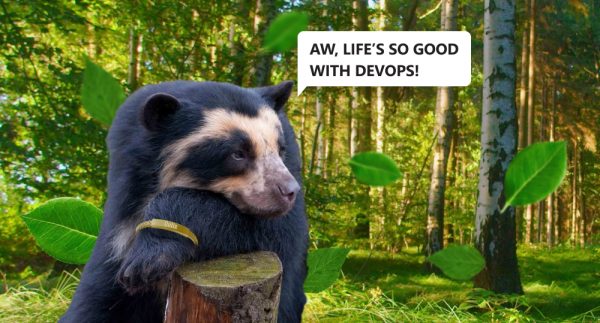 Bear is happy because he has DevOps in his life.