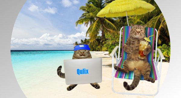 Two cats are sitting on the beach of the ocean. One cat is relaxing on a sun lounger and drinking a refreshing beverage, while the second cat is working on a computer, engaging in software development according to Software Development as a Service (SDaaS) approach.
