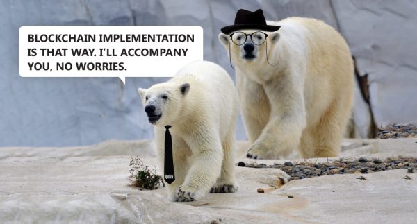 Two polar bears walk towards blockchain implementation.