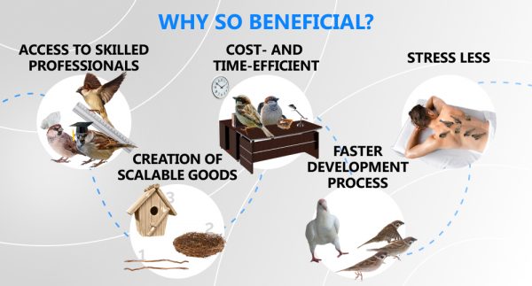 benefits of outsourcing SaaS development, infographics with sparrows