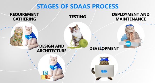 Cats represent steps of the SDaaS process.