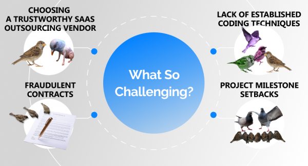 challenges of outsourcing SaaS development illustrated with birds