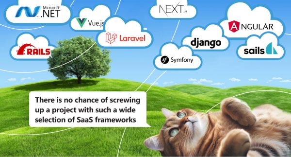 cat lie on meadow look in sky and see clouds with names of saas development frameworks