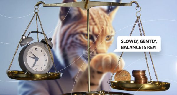 Bobcat trying to balance scales with time and money