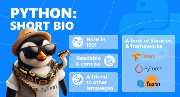 Infographics with penguin acting as Python with short bio of programming language