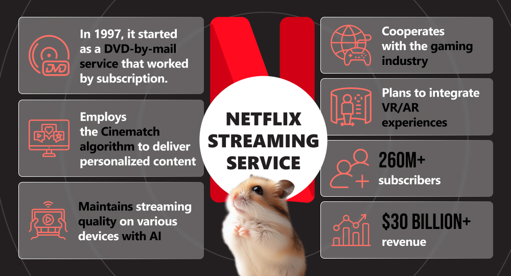 infographics on history of netflix company