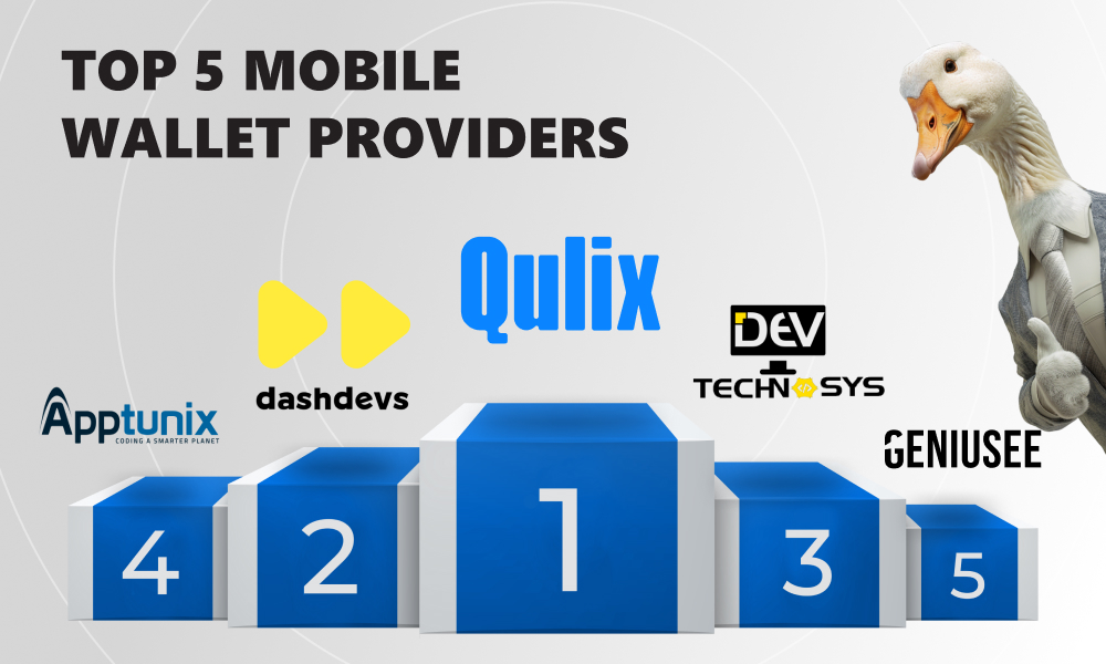 infographics on best e wallet providers and digital wallet development companies